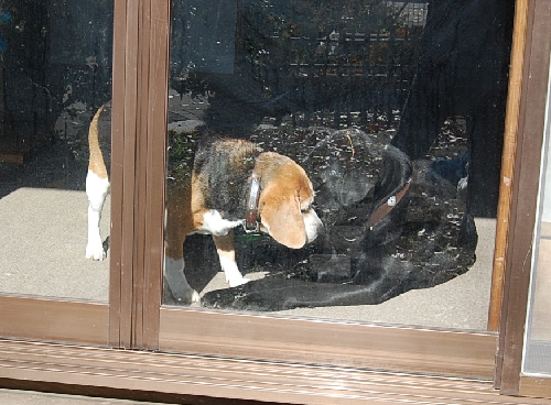 DSC_0075.JPG