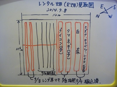 9/8のＲ畑。