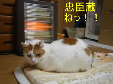 maru