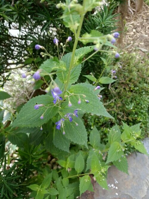 rblog-20160926103110-02.jpg
