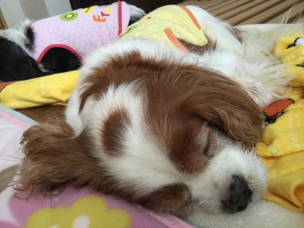 rblog-20160416223428-01.jpg
