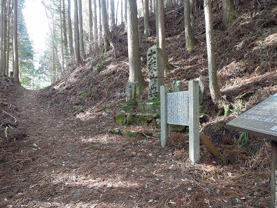 DSCN6341s.jpg