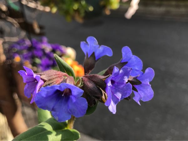 rblog-20180324163010-01.jpg