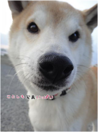 0101朝6.jpg