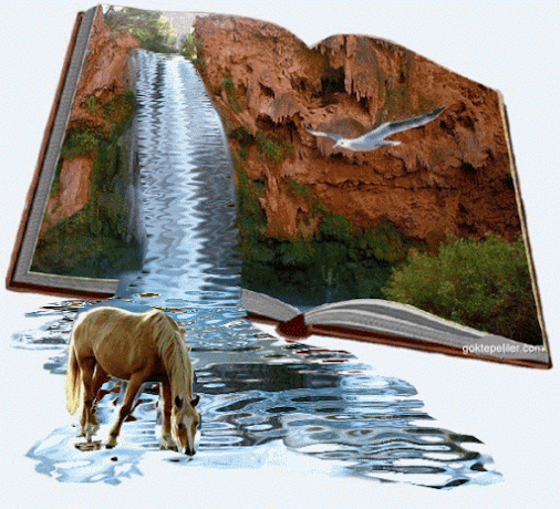 imagedfre4.gif