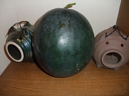 タヒチスイカ　2個目　20120823