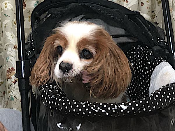 rblog-20180306221829-02.jpg