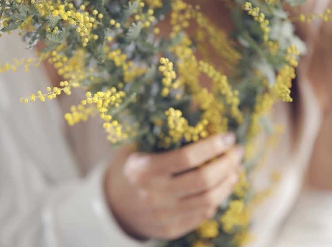 すみれのおすすめ商品ブログ