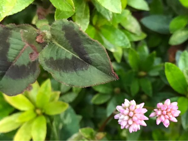 rblog-20181108170137-05.jpg