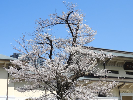 靖國神社