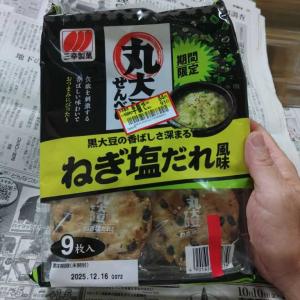 揚げもち 塩（105円）〈株式会社 富士屋（埼玉県草加市