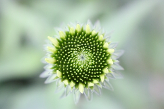 20160627005.JPG
