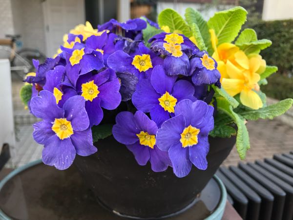 rblog-20180325184811-08.jpg