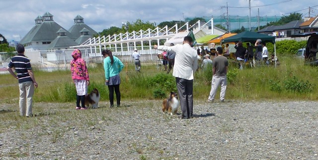 P1020452 - コピー.JPG
