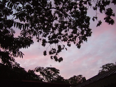 パリの夕暮れ
