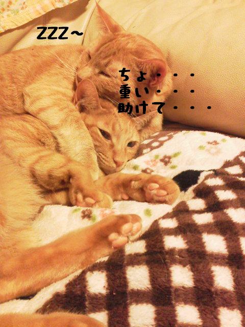 まるﾛｯｸされる