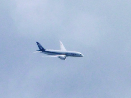 787