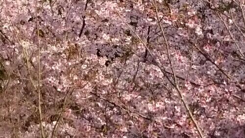 rblog-20160324225353-01.jpg