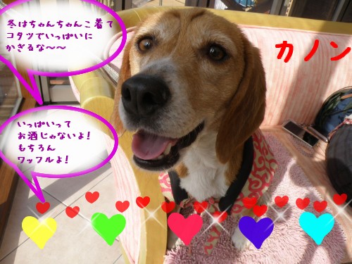 ｶﾉﾝ.JPG