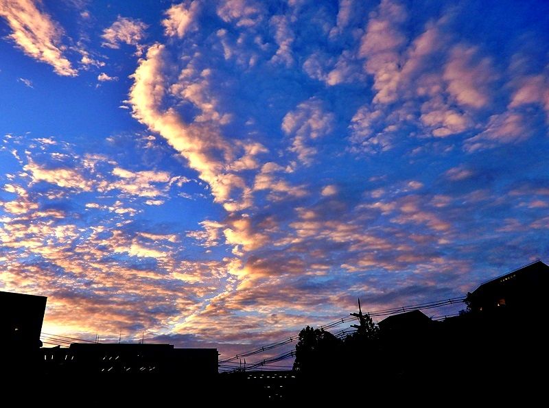 夕暮れ4