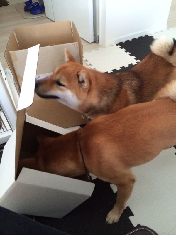 rblog-20150722205606-02.jpg