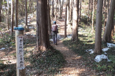 aoyamahe