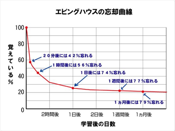 エビングハウスの忘却曲線 みやひょんの青春真っ盛り 楽天ブログ