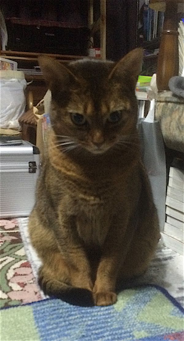 rblog-20151108134807-03.jpg