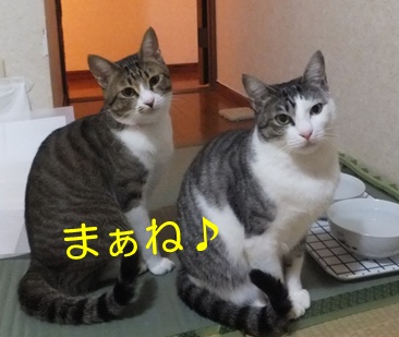 20121104_3.jpg