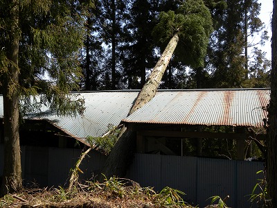 DSCN8137.jpg