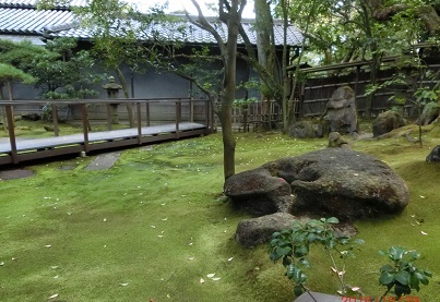 nozakike