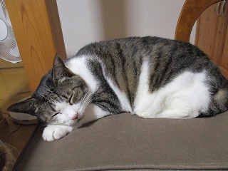 IMG_0548ss.jpg