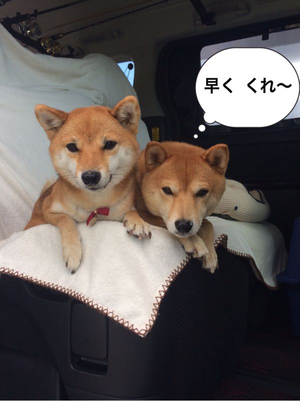 rblog-20161110023545-08.jpg