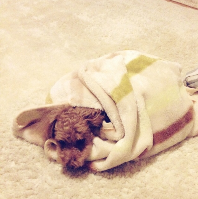 rblog-20131030101427-02.jpg