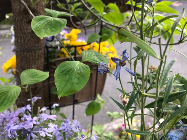 rblog-20190423182540-00.jpg