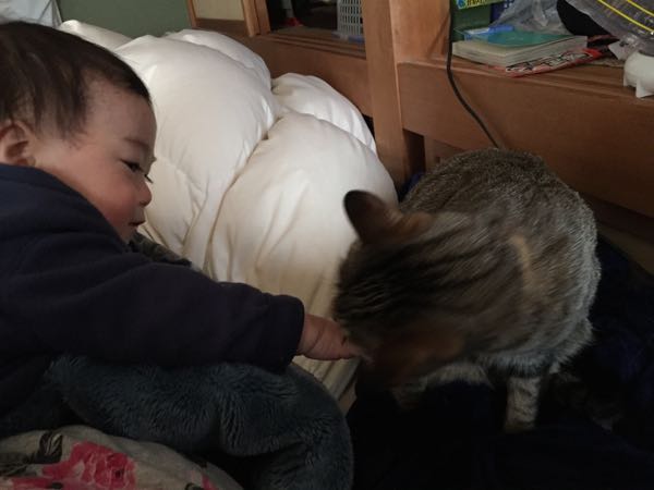 rblog-20141208211459-00.jpg