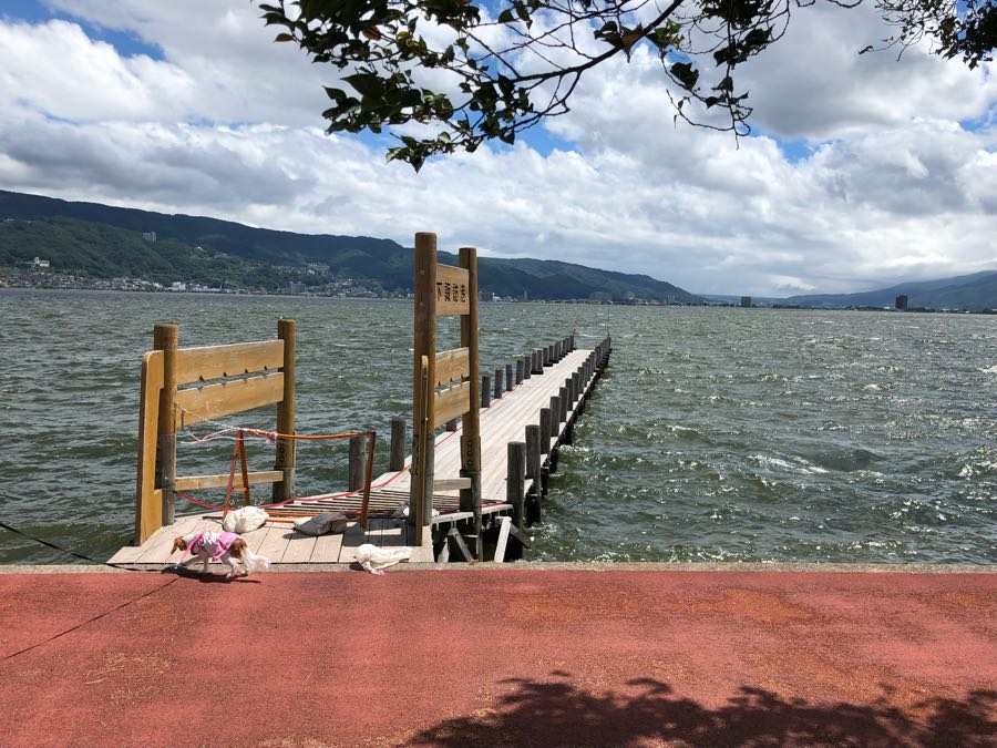 rblog-20180822205519-03.jpg