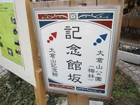 IMG_4993_R.JPG