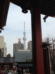 IMG_6572.jpg