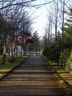 2017-10-27mori1 (3).JPG