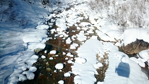 DSC_0705 - コピー.JPG