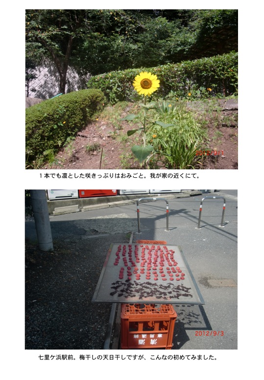 2012.09.14-4.jpg