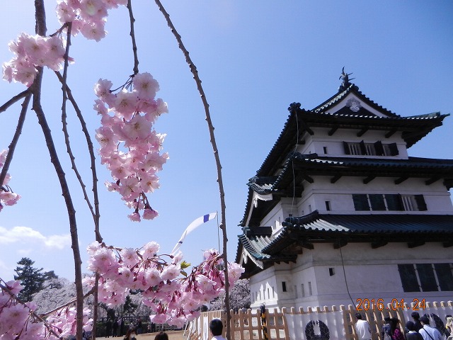 DSCN9863.jpg