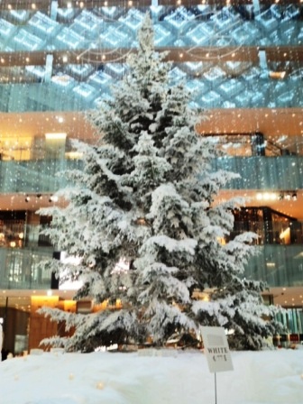 IMG_20131214_112924471.jpg