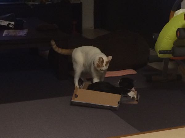 rblog-20150929062016-02.jpg