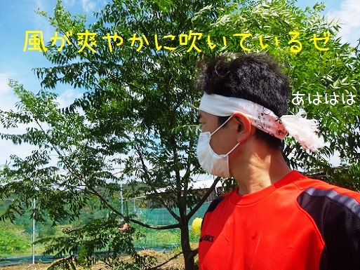 風が爽やかだゼ.jpg