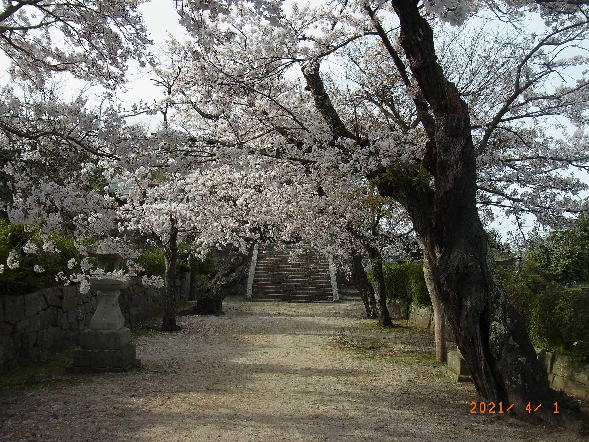 安養寺2