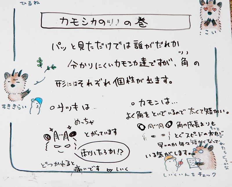ホワイトボード3