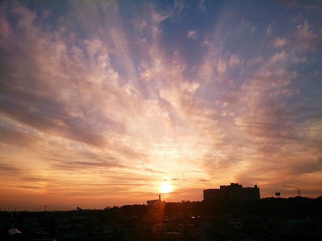 DSC_0288a.jpg