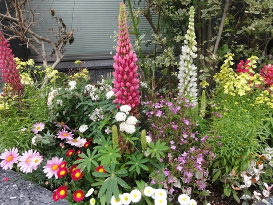 ビルの花壇１.jpg